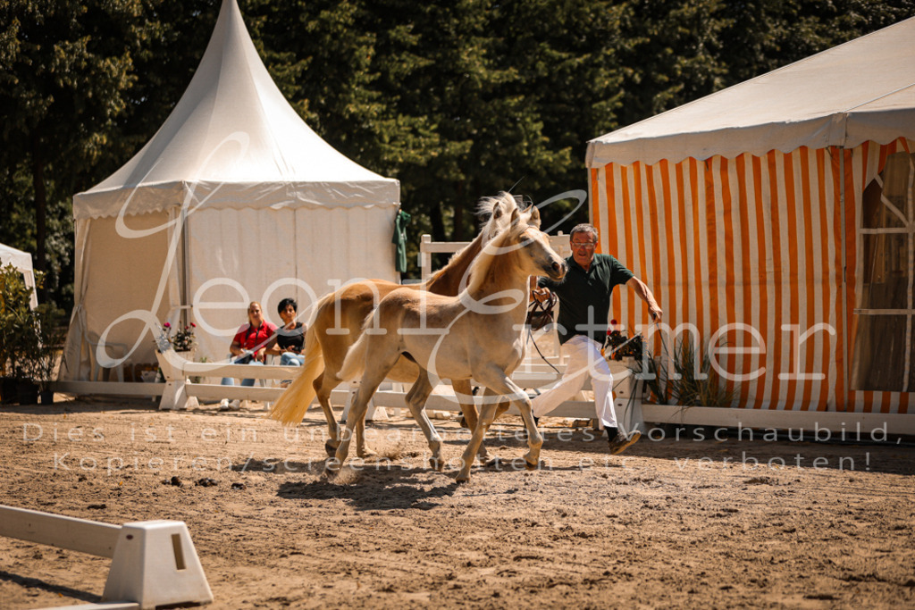 06.DoH00051 | Leoni Ertmer Photography - Realisiert mit Pictrs.com