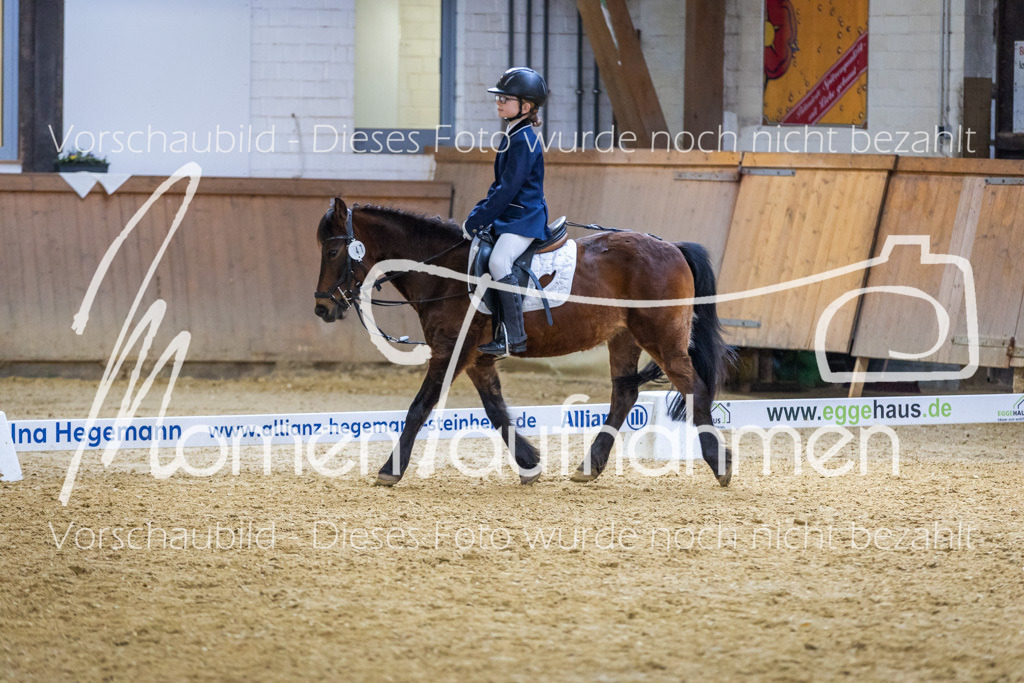 _M2A1946 | MomenTaufnahmen Pferdesportfotos