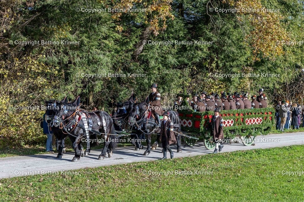 LBT24-654 | foto-bettina-krinner - Realisiert mit Pictrs.com