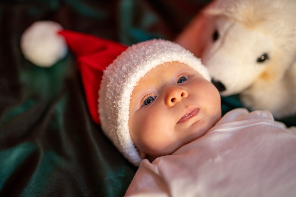 IMG_7480 | ehrlichefotos - Realisiert mit Pictrs.com