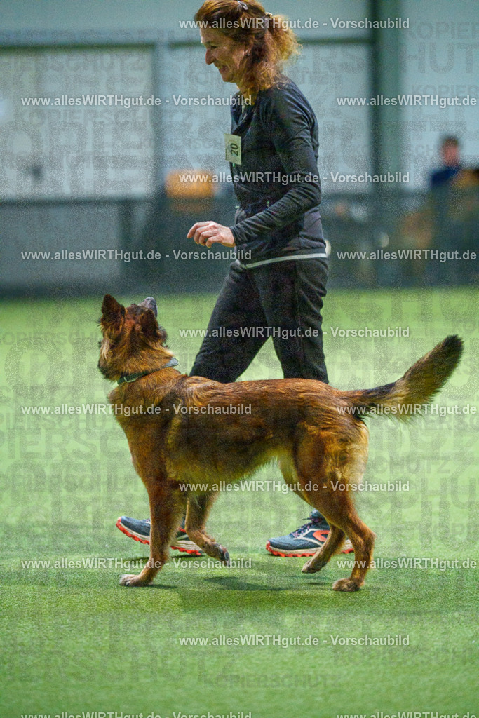 7R500978 | Professionelle Tierfotografie in Mönchengladbach von Daniel Wirth (allesWIRTHgut). Liebevolle & natürliche Bilder von Hunden & Katzen für unvergessliche Erinnerungen.