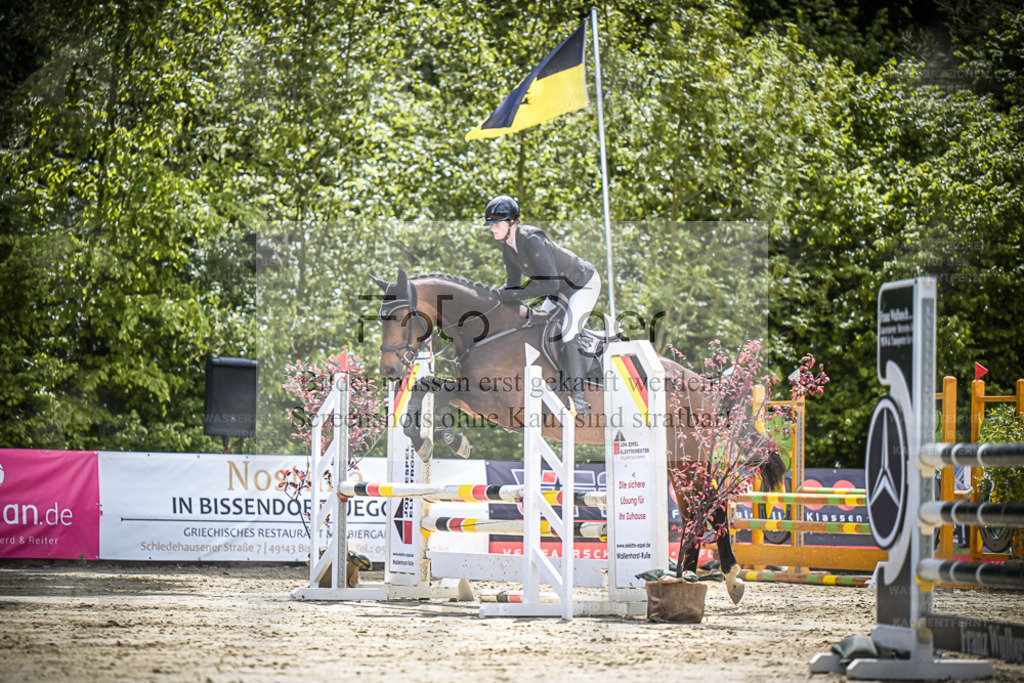 DOS_6916 | Entdecke hochwertige Reitturnierfotos von Foto Oger. Professionell, emotional und authentisch – jetzt Lieblingsmomente im Shop bestellen. - Realisiert mit Pictrs.com