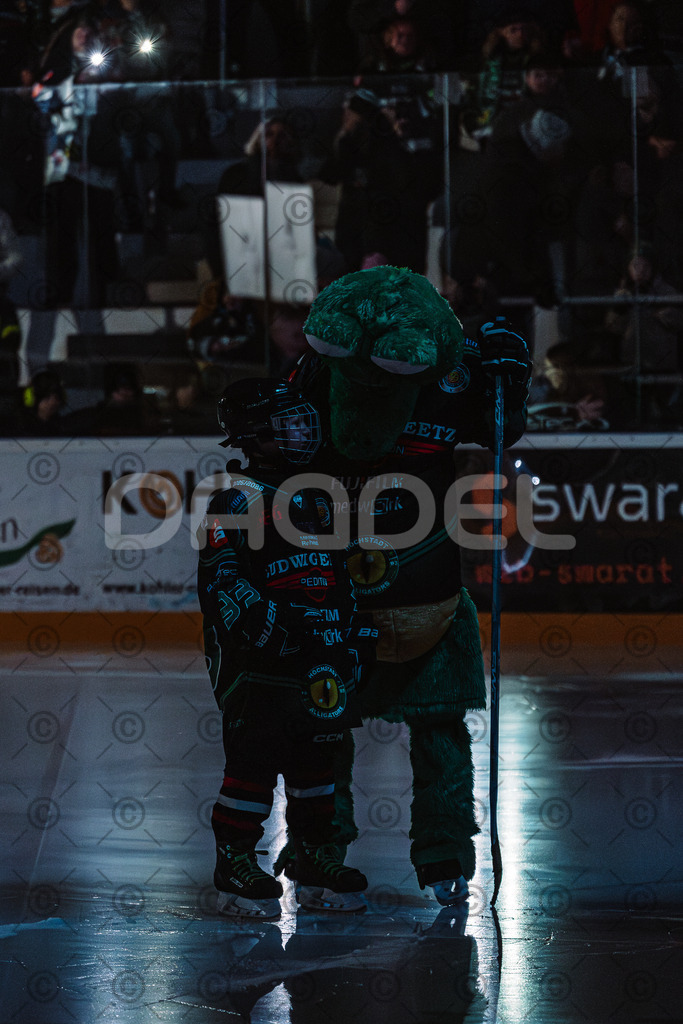 Alligators_vs_Peiting_04_01_2026-001 | Höchstadt Alligators Fotogalerie: Eishockey-Action aus Franken. Professionelle Spielfotos, Portraits & Stadionbilder zum Download. Jetzt entdecken! - Realisiert mit Pictrs.com