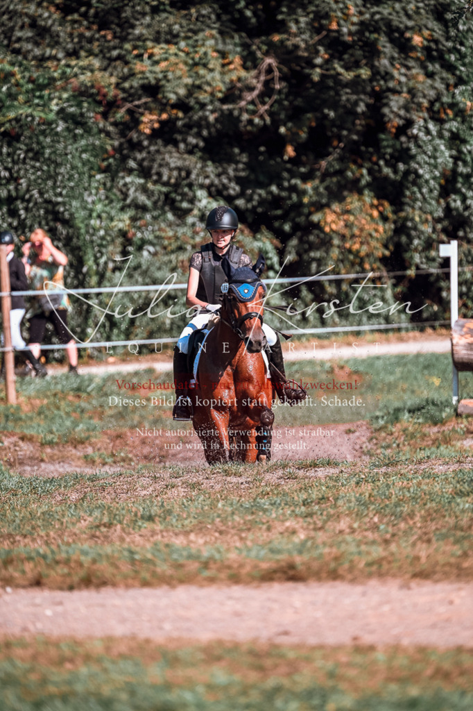 DSC_0946 | Pferde- und Turnierfotografie in Westsachsen. Pferdeportraits, Auftragszeichnungen und intuitive Kunst.
