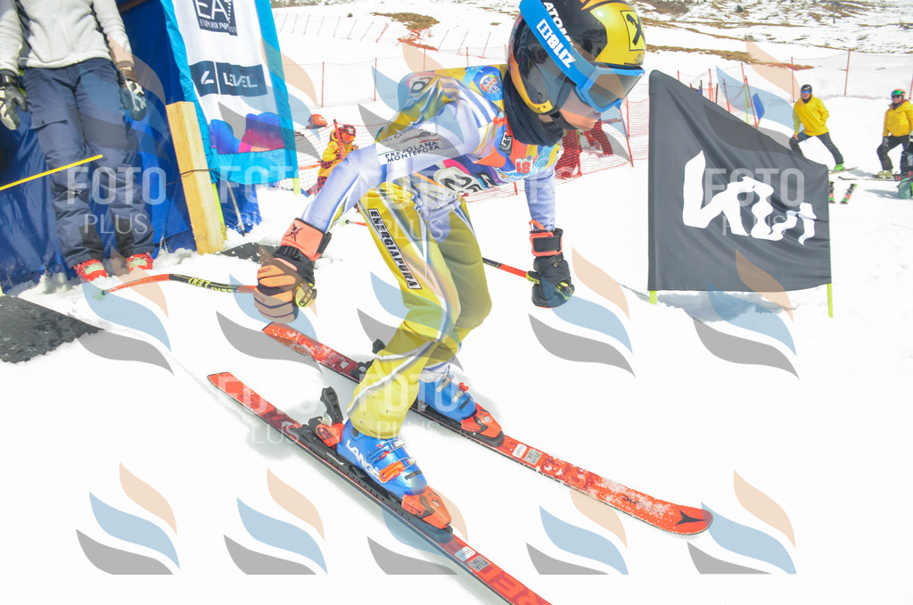 _ELE7619 | holidayphoto