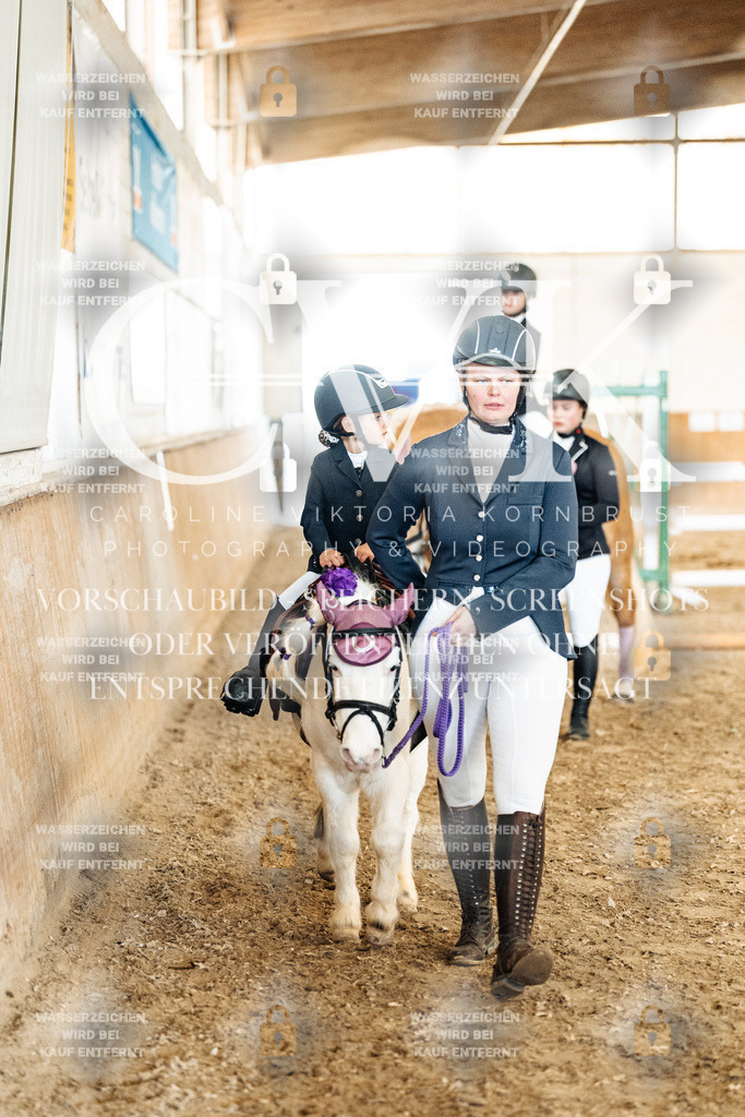 CK905777 | Turnierfotografie Pferdefotografie Trier Rheinland-Pfalz Pferdesport Reitsport Tierfotografie Sportfotografie Pferdevideo Pferdevideografie Equestrianvideography equestrianphotography  - Realisiert mit Pictrs.com
