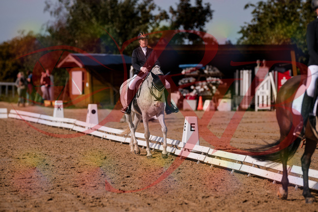 2026_10_03_Siefer-Hof_122837_Z81_27674908 | Professionelle Reitsport-, Turnier- und Eventfotografie von Robert Broda. Galerien mit ausgewählten und bearbeiteten Bildern direkt online ansehen und bestellen.