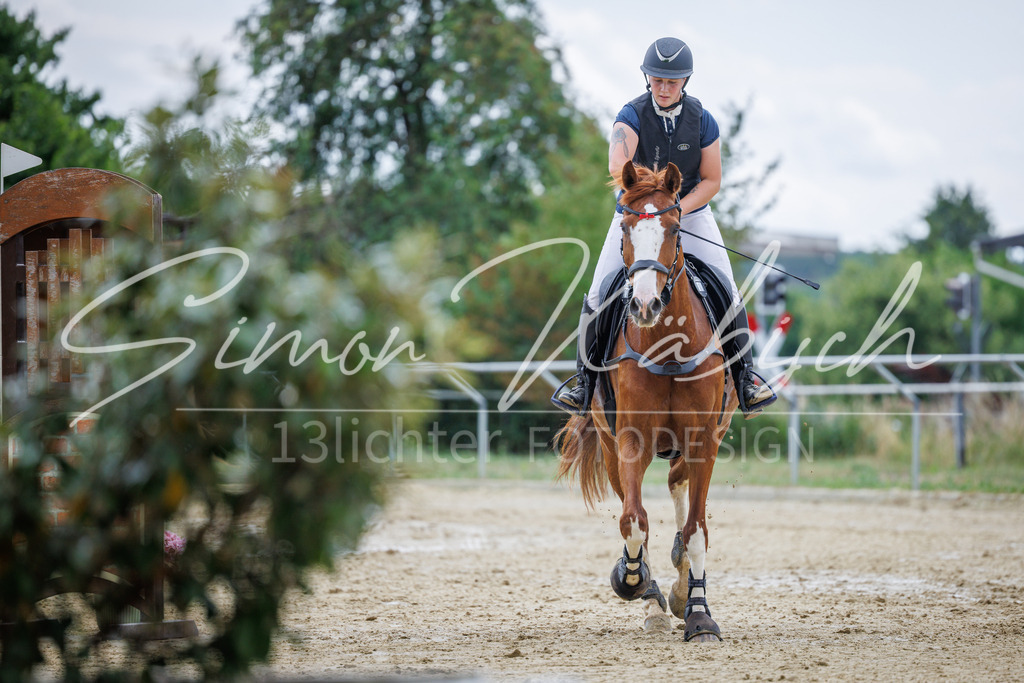 20260705-_3LI5904 | Tierfotografie Pferde, Hunde, Katzen, Haustiere.
Turnierfotografie Reitturniere, Reiten, Springreiten, Dressur in Hanau, dem Main-Kinzig-Kreis und dem Rhein-Main- Gebiet um Frankfurt
