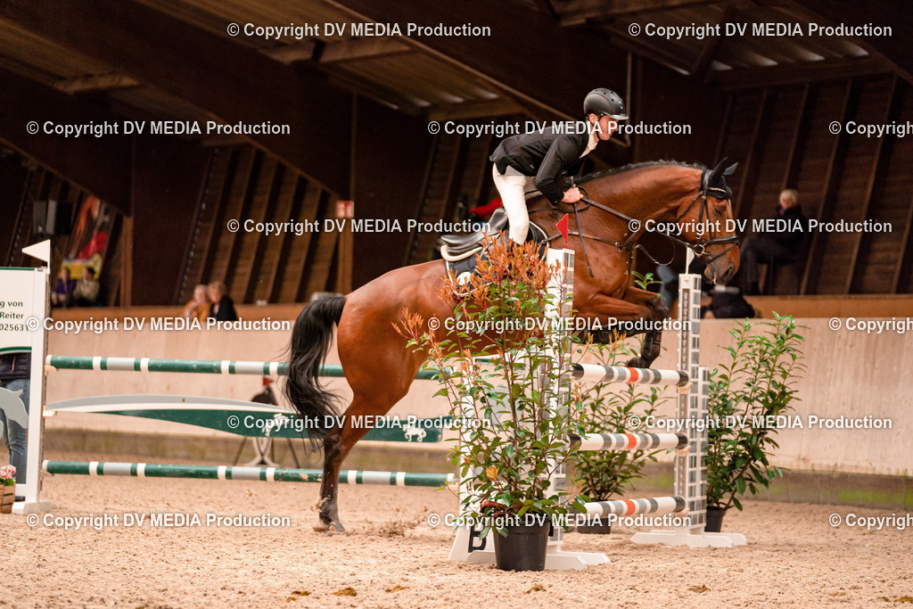 Springen Tag 1-574 | dv-media-shop - Realisiert mit Pictrs.com