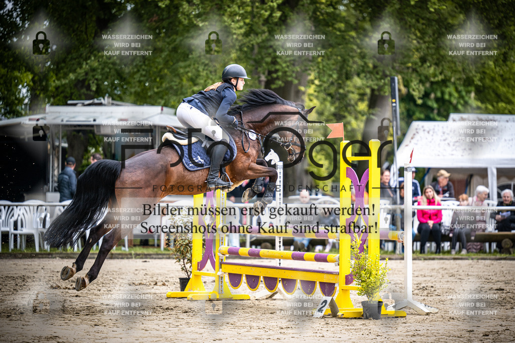 DOS_1215 | Reitturnier Venne - Realisiert mit Pictrs.com
