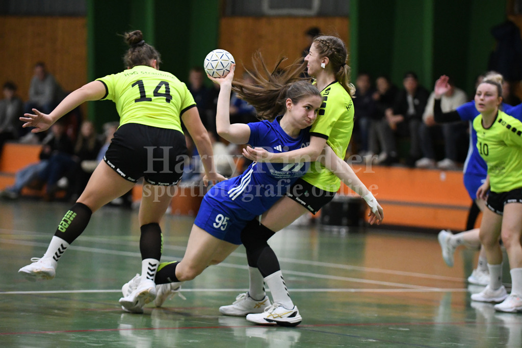 SSG Metten Damen : HSG Straubing | Anna-Maria Erl (SSG Metten Damen #95) - Realisiert mit Pictrs.com