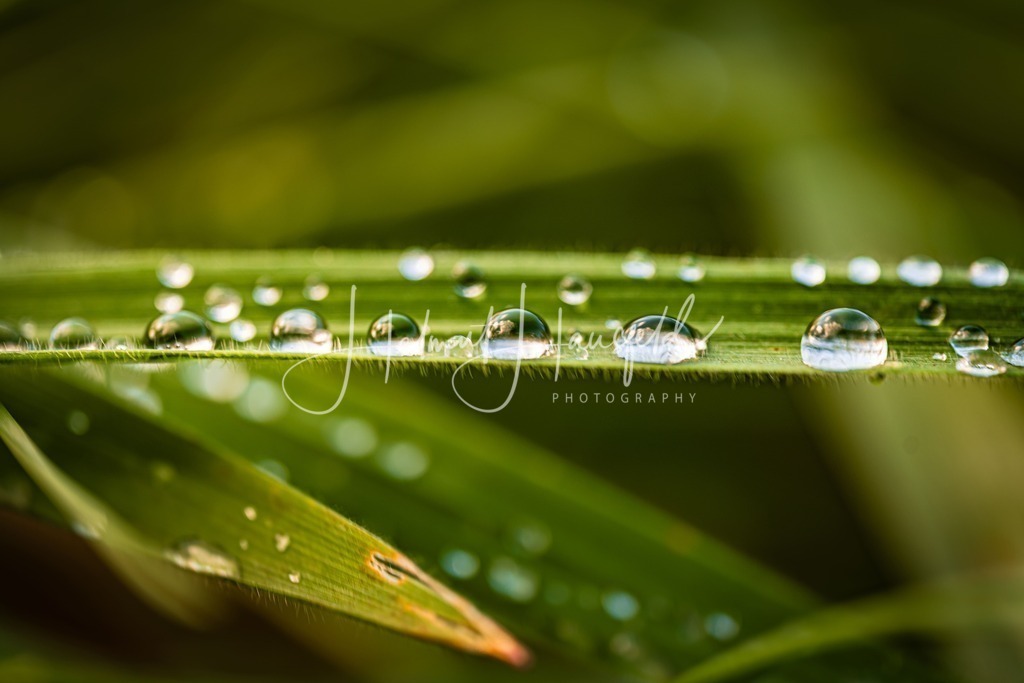 DSC04082 | Landschaftsfotografie, Naturfotografie - Realisiert mit Pictrs.com
