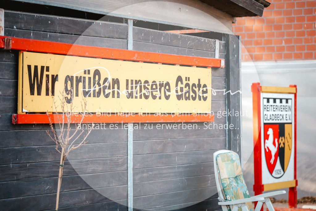 3I6A1593 | Stimmungsvolle Portraits und Reitsportfotografie im Ruhrgebiet und im Münsterland.

Pferdefotografie, Hundefotografie, Tierfotografie, Reportagen, Portraits von Tier und Mensch, Turnierfotografie in Bochum, Recklinghausen, Marl, Haltern am See, Dülmen.. - Realisiert mit Pictrs.com