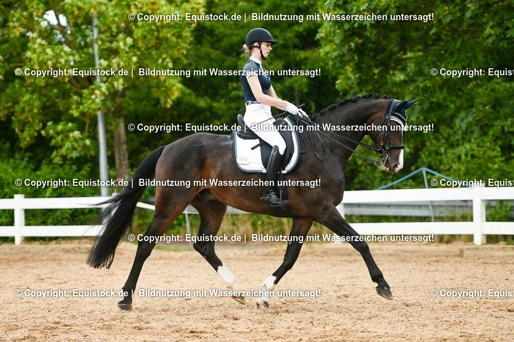 20230716_01_Dressurprüfung Kl.M_0478 | equistock