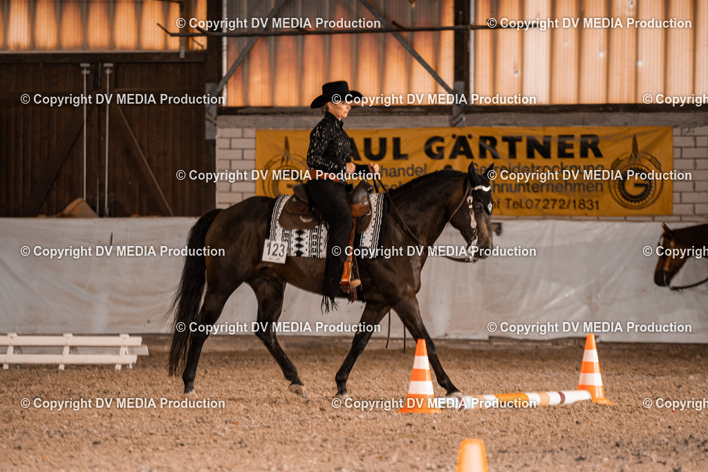 ZH200373 | dv-media-shop - Realisiert mit Pictrs.com