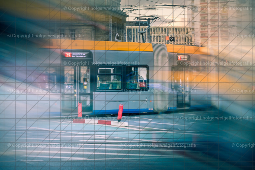 20260703205227Z63_5407 | Kaufen sie online außergewöhnliche Fotografien auf Leinwand Acrylglas Fotoprint Aludibond von holgerweigeltfotografie - Realisiert mit Pictrs.com