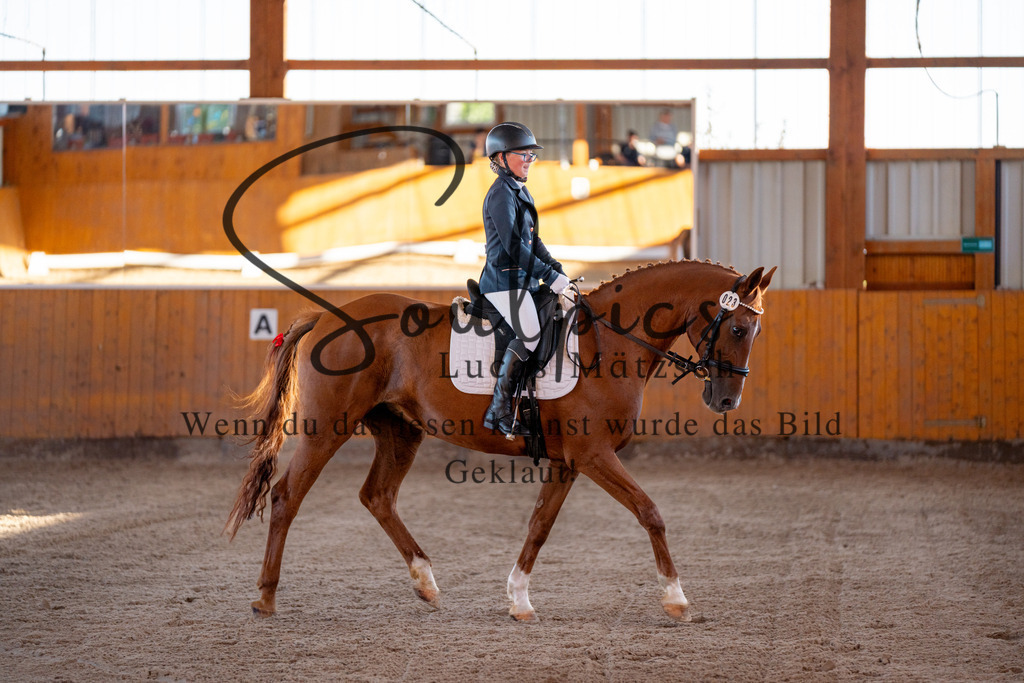 A7V01594 | Turnier/Reitfotograf