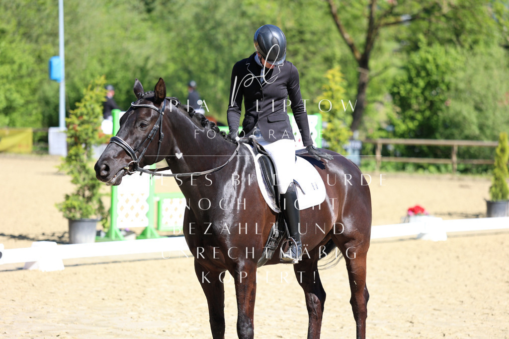 IMGT0287 | pl-fotografie