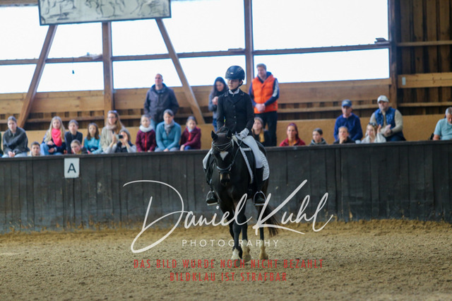 IMG_0962 | Turniersportfotografie; Pferdefotografie; Dressurfotografie