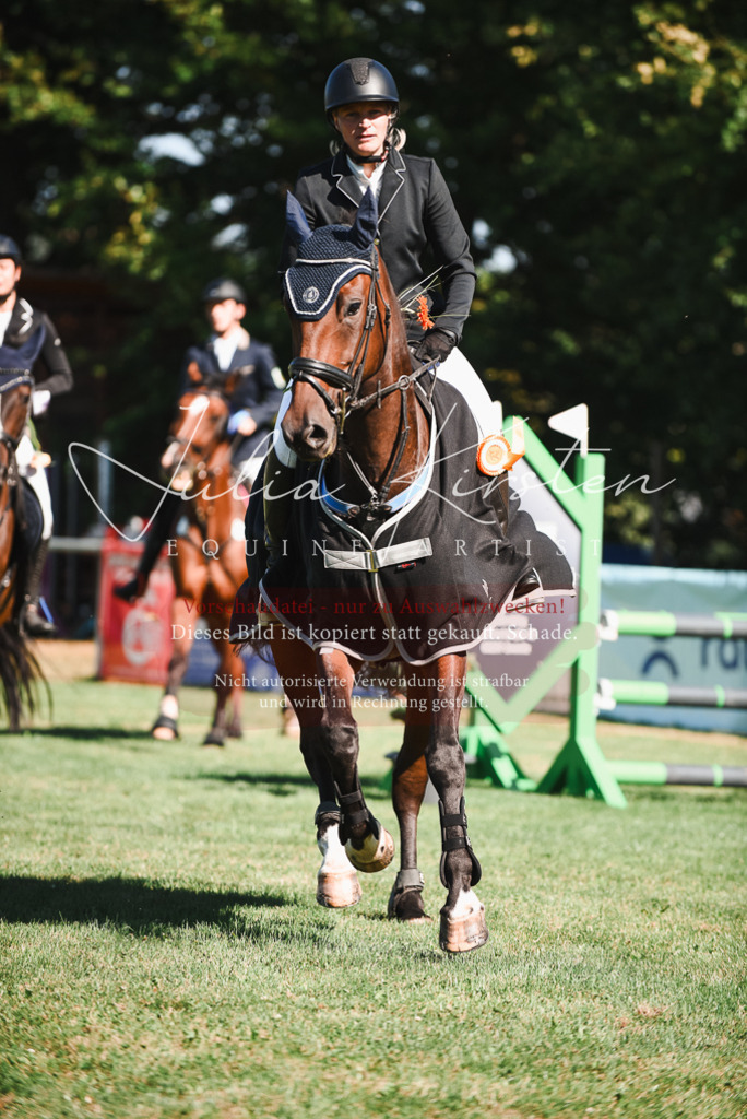 DSC_2641 | Pferde- und Turnierfotografie in Westsachsen. Pferdeportraits, Auftragszeichnungen und intuitive Kunst.
