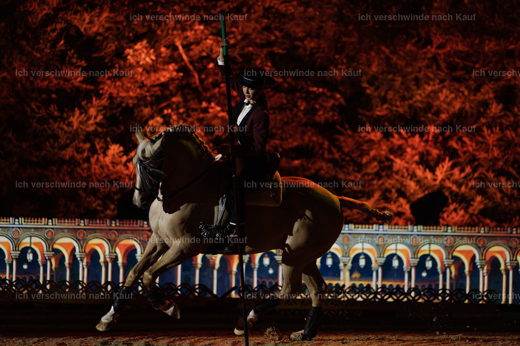 FHClassics-179 | working equitationturnier fotograf videograf stoibphotography marixx film working equitation deutschland reitsport turnierfotografie eventfotografie equestrian events