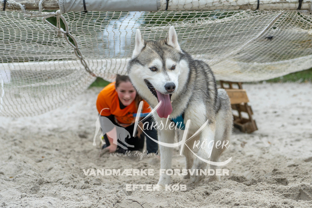 1050_ZZ95023 | kk-dogfotos
