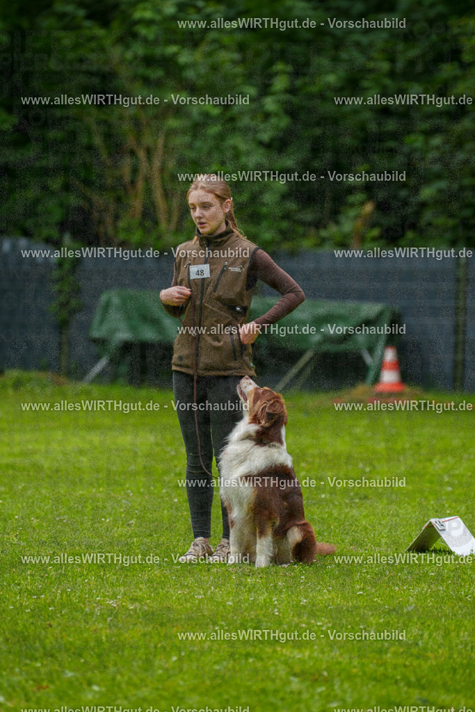 @allesWIRTHgut_Tierfotografie - www.allesWIRTHgut.de - 7R500600 | Professionelle Tierfotografie in Mönchengladbach von Daniel Wirth (allesWIRTHgut). Liebevolle & natürliche Bilder von Hunden & Katzen für unvergessliche Erinnerungen.