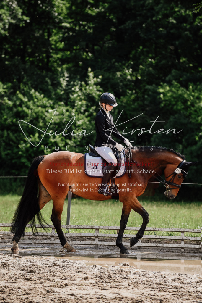 DSC_0879 | Pferde- und Turnierfotografie in Westsachsen. Pferdeportraits, Auftragszeichnungen und intuitive Kunst.