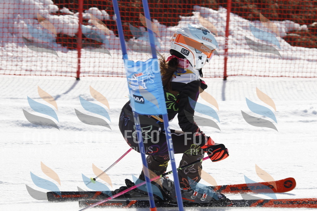 _U3G8722 | holidayphoto