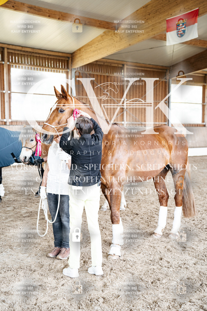 CK703311 | Turnierfotografie Pferdefotografie Trier Rheinland-Pfalz Pferdesport Reitsport Tierfotografie Sportfotografie Pferdevideo Pferdevideografie Equestrianvideography equestrianphotography  - Realized with Pictrs.com