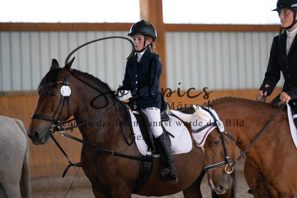 A7V02150 | Pferdefotograf