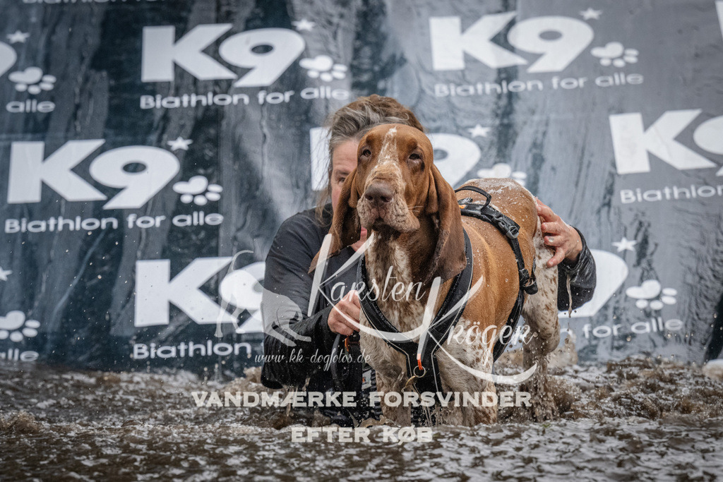 1157_ZZ93938 | kk-dogfotos