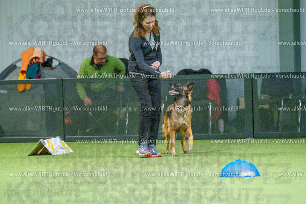 7R505634 | Professionelle Tierfotografie in Mönchengladbach von Daniel Wirth (allesWIRTHgut). Liebevolle & natürliche Bilder von Hunden & Katzen für unvergessliche Erinnerungen.