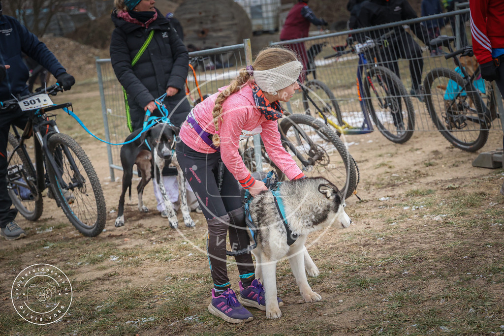 Pfotenfotografie_0L8A2198 | Hundefotografie, Tierfotograf, Pfotenfotografie, Fotoshooting Hund, Hunde Portrait, Hundesport, Hundeportraits, Heideshooting, Hunde, Sportfotograf, Hundefotograf, Turnierhundsport, THS,  - Realisiert mit Pictrs.com