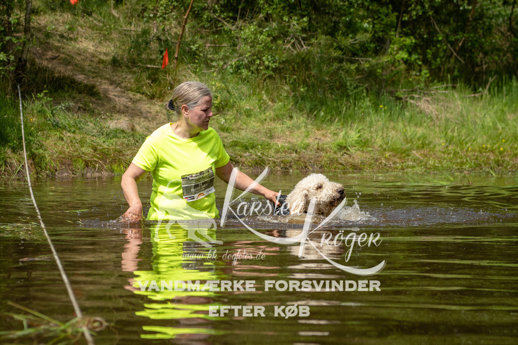1244DKK993462 | kk-dogfotos