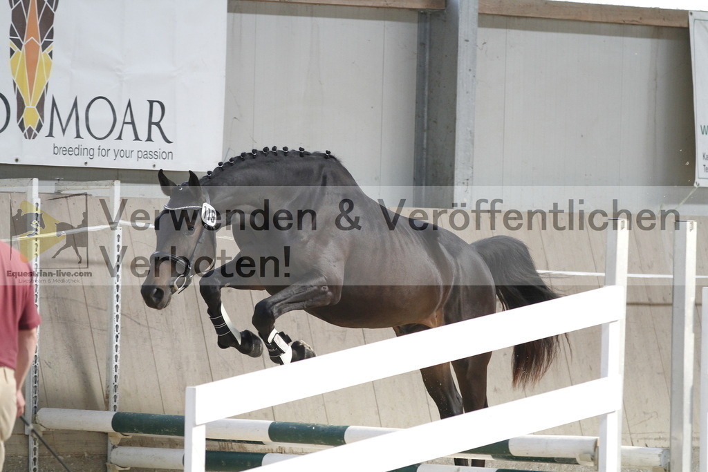 _MG_0585 | equestrian-live-com