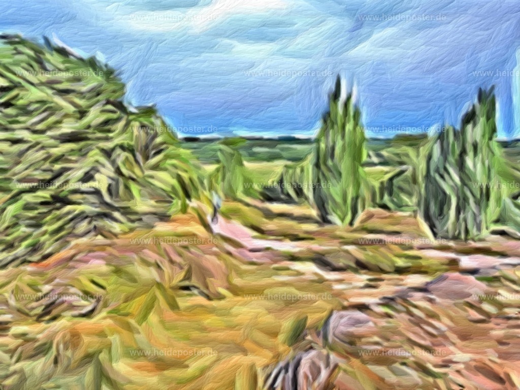 brushed_jw15-turmberg_015 | Poster aus der Lüneburger Heide - Realisiert mit Pictrs.com