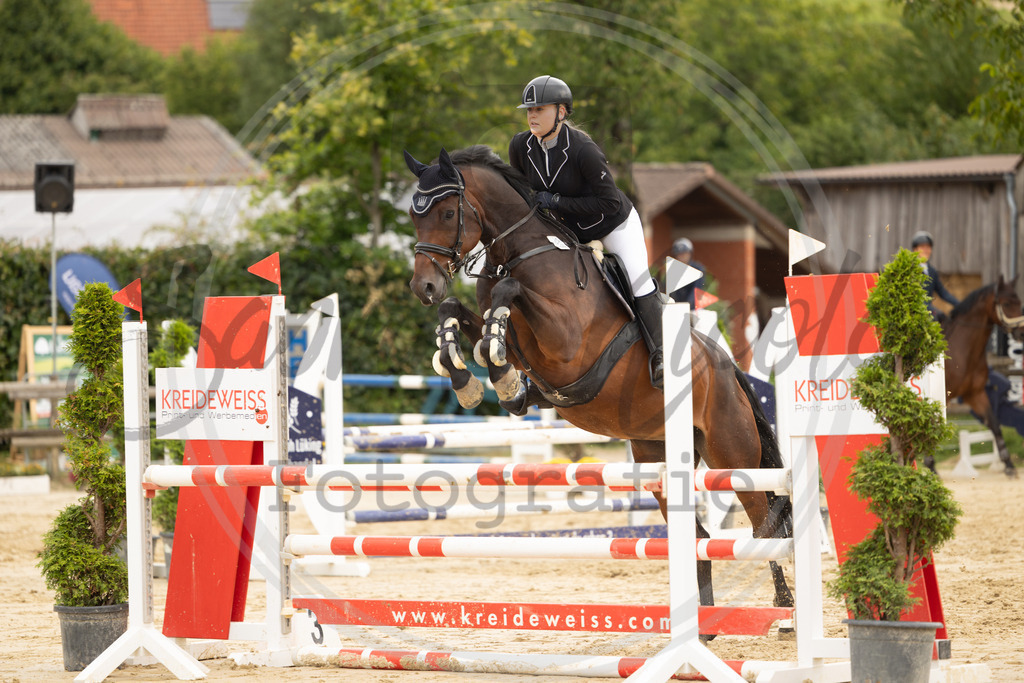 994A8759 | sabrinanicolaifotografie - Realisiert mit Pictrs.com