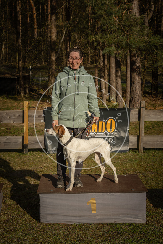 Pfotenfotografie_DV3A3906 | Hundefotografie, Tierfotograf, Pfotenfotografie, Fotoshooting Hund, Hunde Portrait, Hundesport, Hundeportraits, Heideshooting, Hunde, Sportfotograf, Hundefotograf, Turnierhundsport, THS,  - Realisiert mit Pictrs.com