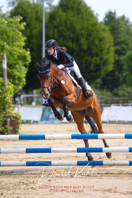 DKP41296 | Turniersportfotografie; Pferdefotografie; Dressurfotografie