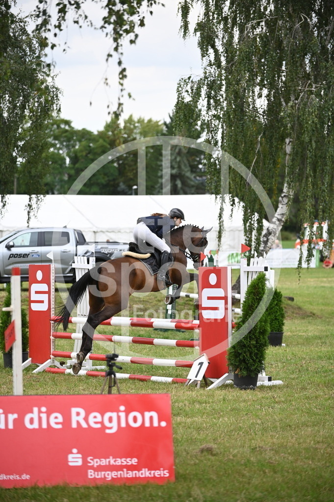 DSC_2468 | sattelsport - Realisiert mit Pictrs.com