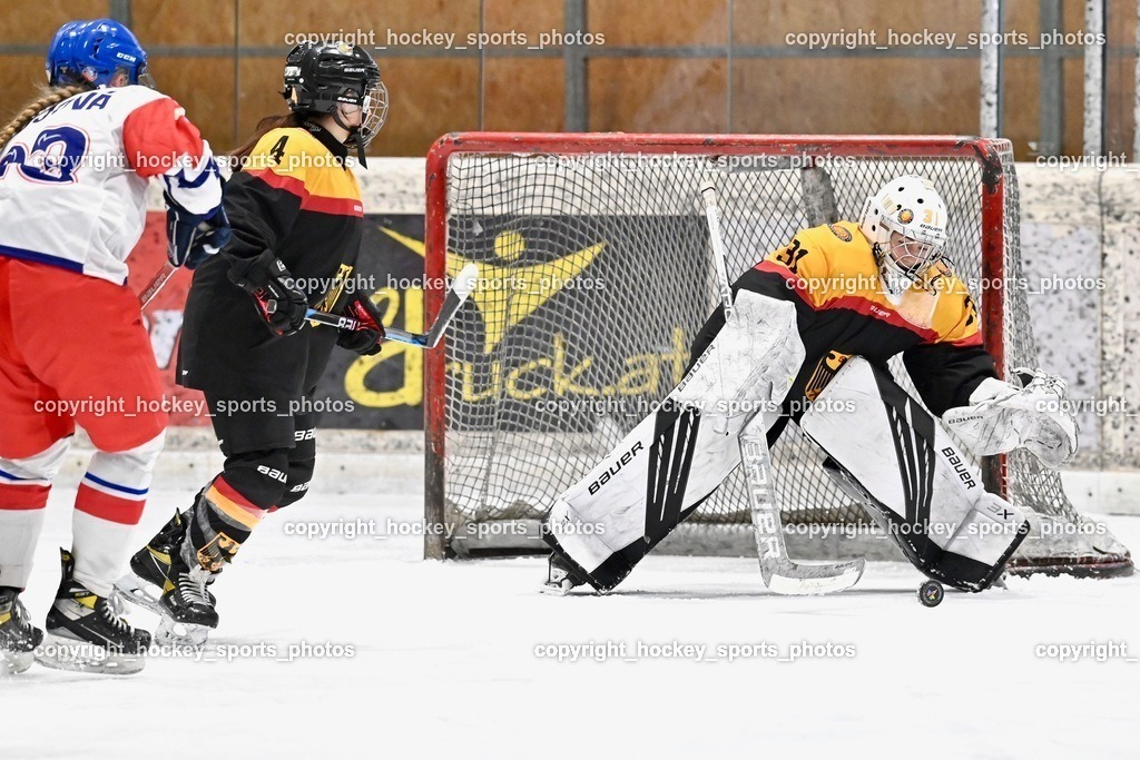 BST_4040 | hockey sports photos, Pressefotos, Sportfotos, hockey247, win 2day icehockeyleague, Handball Austria, Floorball Austria, ÖVV, Kärntner Eishockeyverband, KEHV, KFV, Kärntner Fussballverband, Österreichischer Volleyballverband, Alps Hockey League, ÖFB, 