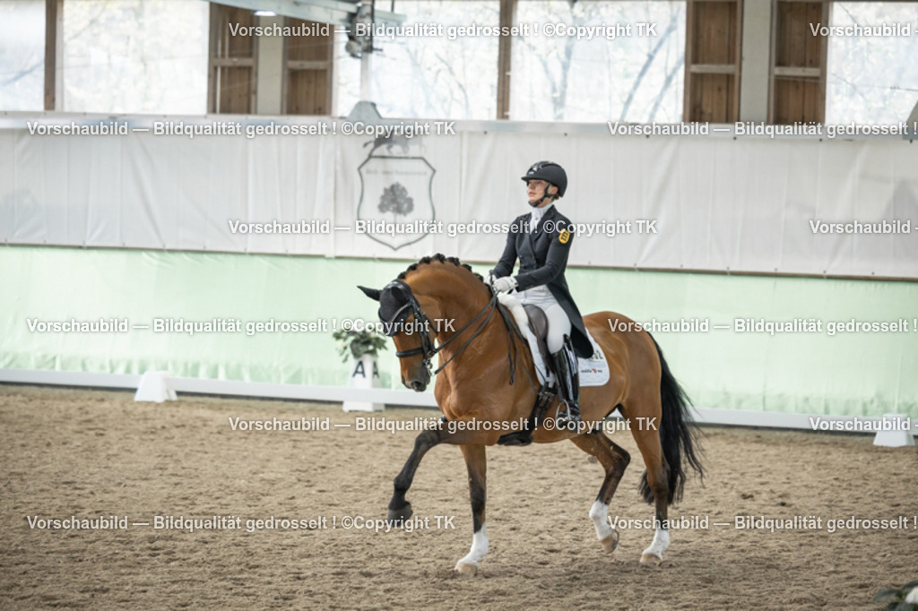 _D5A5931 | Emotionale Pferde- & People-Fotografie rund um Heidelberg, Leimen & Umgebung. Natürliche Fotos von Pferd, Mensch & Familie. Jetzt Termin sichern!