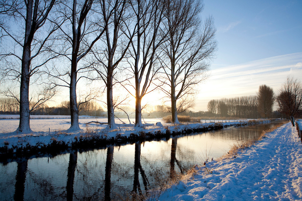 091221-033 | Europa, DEU, Deutschland, Nordrhein Westfalen, NRW, Rheinland, Niederrhein, Wachtendonk, Fluss, Die Niers, Flusslandschaft, Niersaue, Auenlandschaft, Winter, Schnee, Baeume, Pappeln, Kategorien und Themen, Natur, Umwelt, Landschaft, Jahreszeiten, Stimmungen, Landschaftsfotografie, Landschaften, Landschaftsphoto, Landschaftsphotographie, Naturschutz, Naturschutzgebiete, Landschaftsschutz, Biotop, Biotope, Landschaftsschutzgebiete, Landschaftsschutzgebiet, Oekologie, Oekologisch, Typisch, Landschaftstypisch, Landschaftspflege

[Fuer die Nutzung gelten die jeweils gueltigen Allgemeinen Liefer-und Geschaeftsbedingungen. Nutzung nur gegen Verwendungsmeldung und Nachweis. Download der AGB unter http://www.image-box.com oder werden auf Anfrage zugesendet. Freigabe ist vorher erforderlich. Jede Nutzung des Fotos ist honorarpflichtig gemaess derzeit gueltiger MFM Liste - Kontakt, Uwe Schmid-Fotografie, Duisburg, Tel. (+49).2065.677997, 
archiv@image-box.com, www.image-box.com] - Realisiert mit Pictrs.com