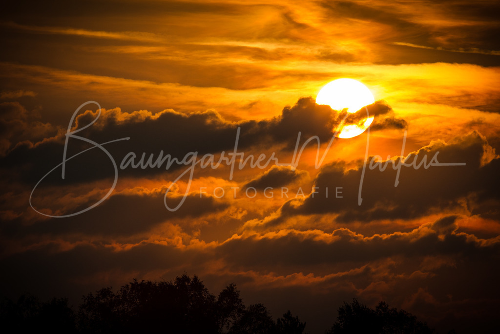 _MG_0247 | Baumgartner Markus Fotografie