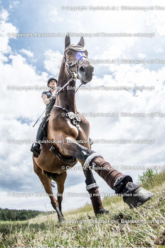 TS_20180615_Julia_Mestern_0016 | equistock