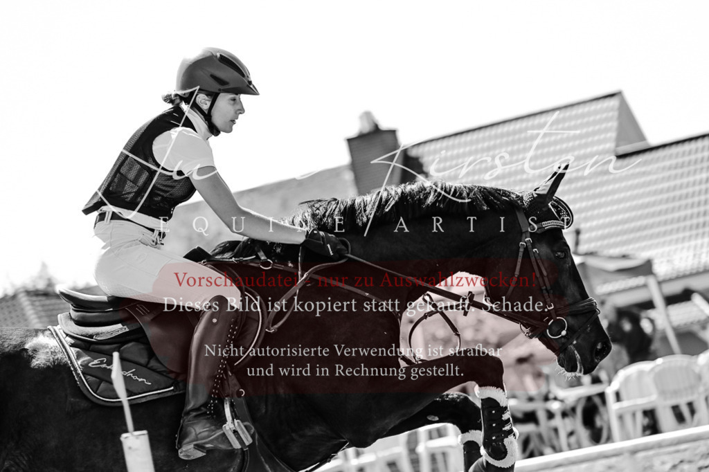 DSC_1121 | Pferde- und Turnierfotografie in Westsachsen. Pferdeportraits, Auftragszeichnungen und intuitive Kunst.