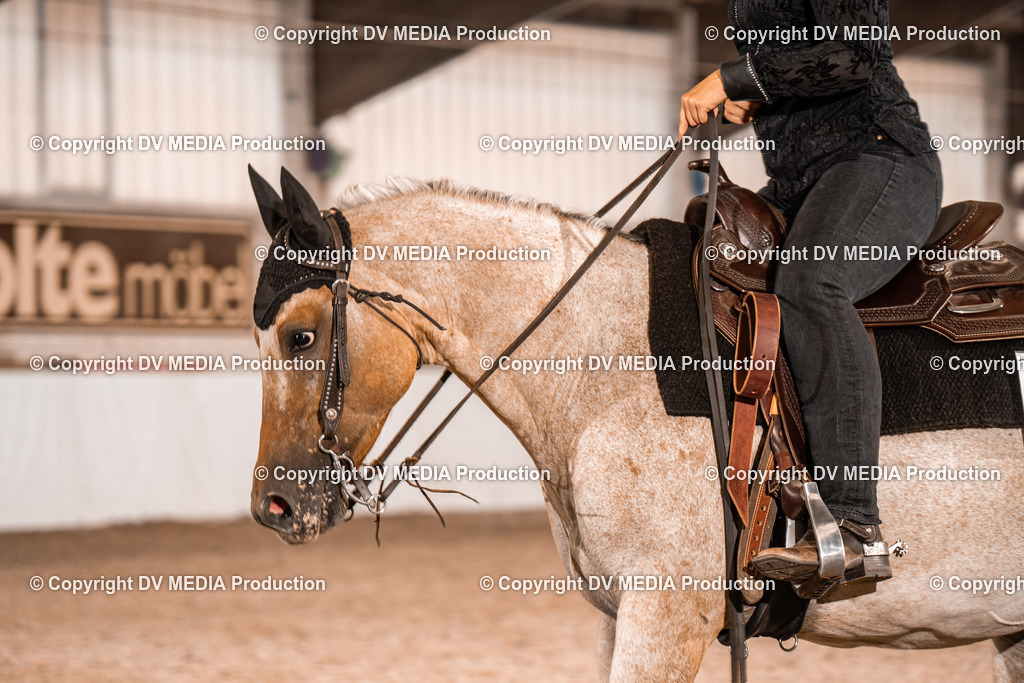 ZH100176 | dv-media-shop - Realisiert mit Pictrs.com