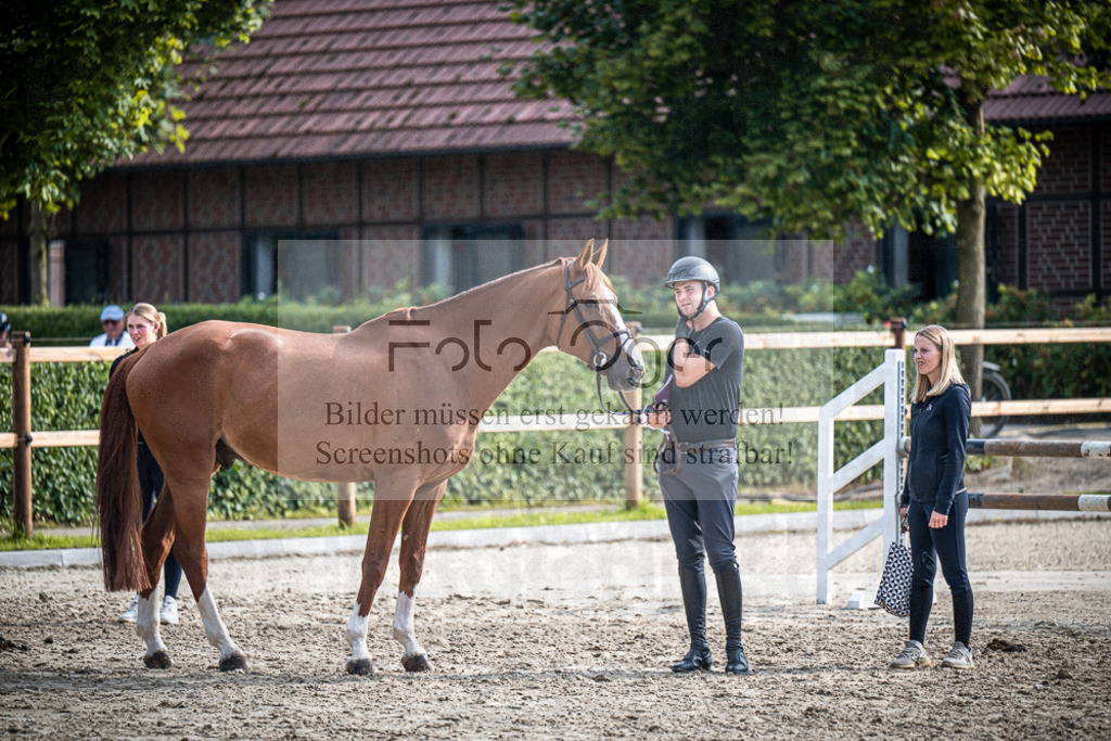 DOS_2555 | Entdecke hochwertige Reitturnierfotos von Foto Oger. Professionell, emotional und authentisch – jetzt Lieblingsmomente im Shop bestellen.Deutschlandweite Turnierfotografie. - Realisiert mit Pictrs.com