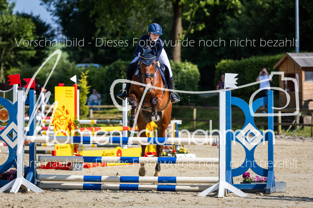 Donop24-ASpr-044 | MomenTaufnahmen Pferdesportfotos